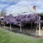 SAGES COTTAGE, BAXTER