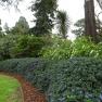 Burnley Gardens