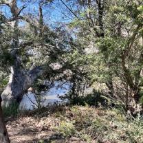 Melton Botanic Gardens