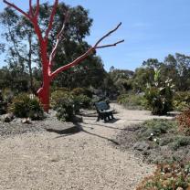 Melton Botanic Gardens