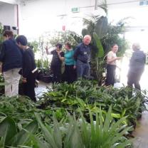 Indoor Plants, Ringwood