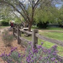 SAGES COTTAGE, BAXTER