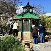 Buda, Castlemaine