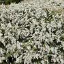 Royal Botanic Gardens, Cranbourne