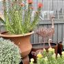 Diaco's Nursery, Heatherton