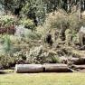 Dandenong Ranges Botanic Garden