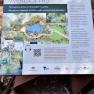 Dandenong Ranges Botanic Garden