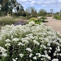 Royal Botanic Gardens, Cranbourne