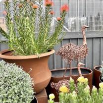 Diaco's Nursery, Heatherton