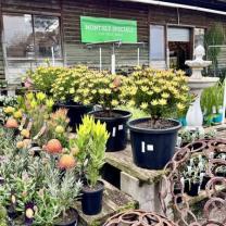 Diaco's Nursery, Heatherton