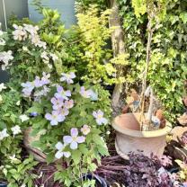 Wishing Well Nursery, Silvan South